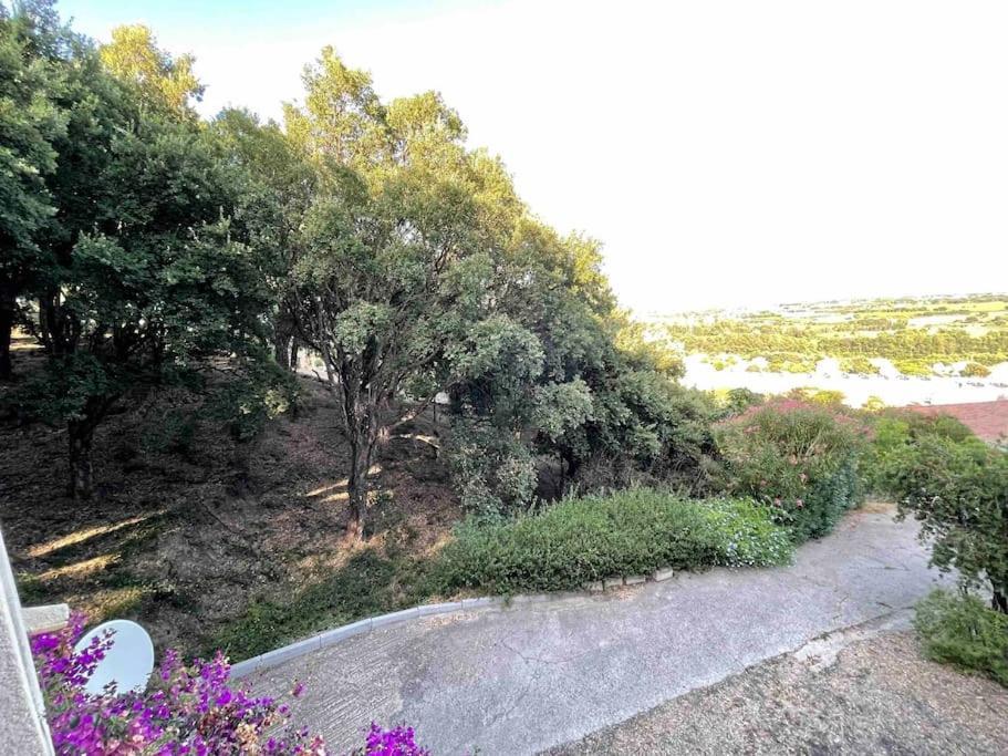 Appartamento Casarella Bulle De Paix En Corse Entre Terre Et Mer Lucciana  Esterno foto